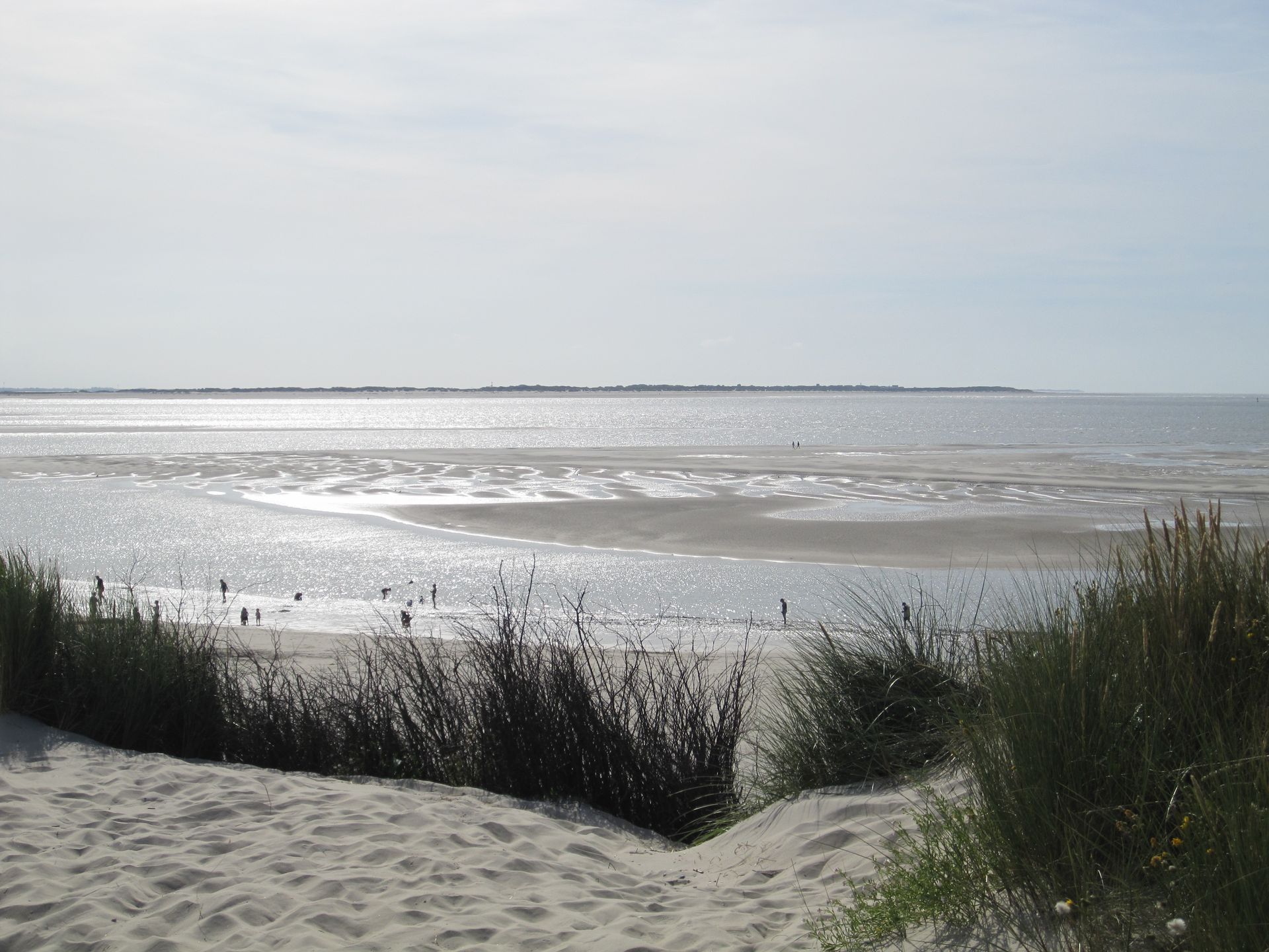 Sandstrand mit sonnenbeschienenem Wasser, Horizont in der Ferne und Dünengras im Vordergrund.