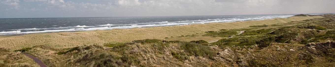 Küstenszene mit Sandstrand, Meereswellen und grasbewachsenen Dünen unter bewölktem Himmel.