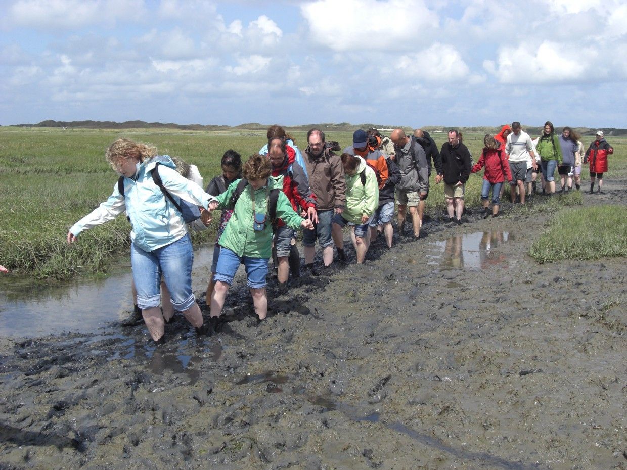 Eine Gruppe von Menschen watet Hand in Hand durch Schlamm in einem grasbewachsenen Sumpfgebiet unter bewölktem Himmel.
