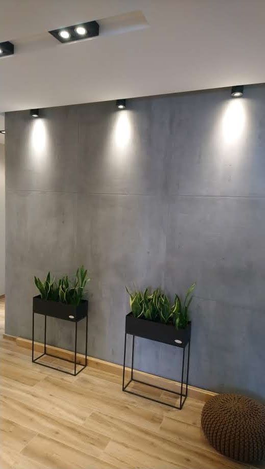 Zwei Topfpflanzen stehen auf einem Holzboden vor einer Wand.