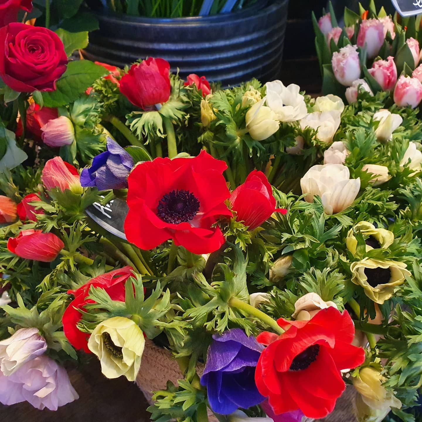Bouquet avec coquelicots
