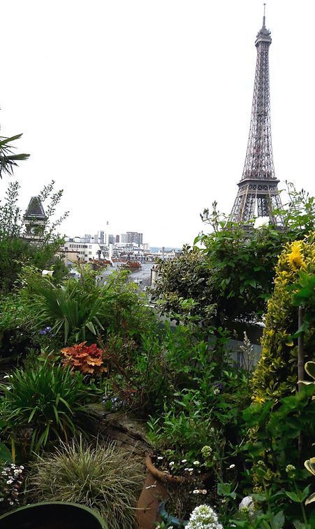 Terrasse aménagée vue sur la Tour Eiffel