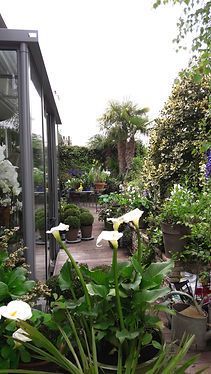 Petite terrasse aménagée avec diverses plantes vertes