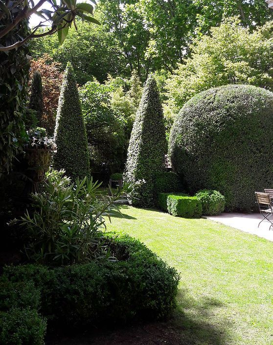 Création d'un jardin avec pelouse bien tondue et arbres taillés
