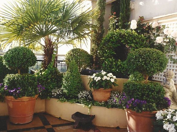 Balcon aménagé avec diverses plantes en pot