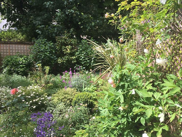 Création d'un jardin fleuri