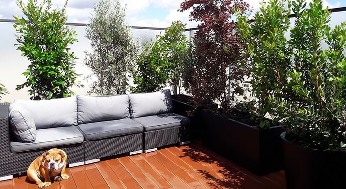 Terrasse en bois aménagée avec fauteuils