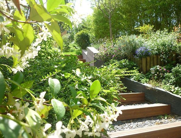 Jardin fleuri avec des marches