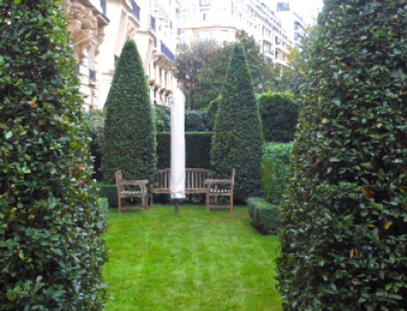 Aménagement d'un jardin avec des arbres taillés et un espace pour une pause en extérieur