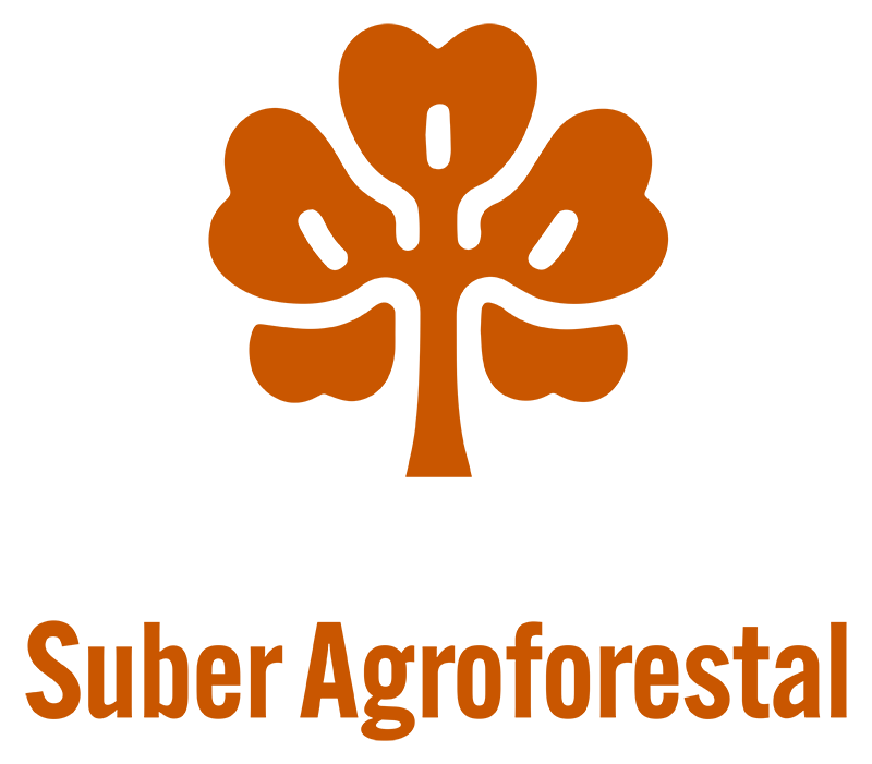 logotipo cabecera