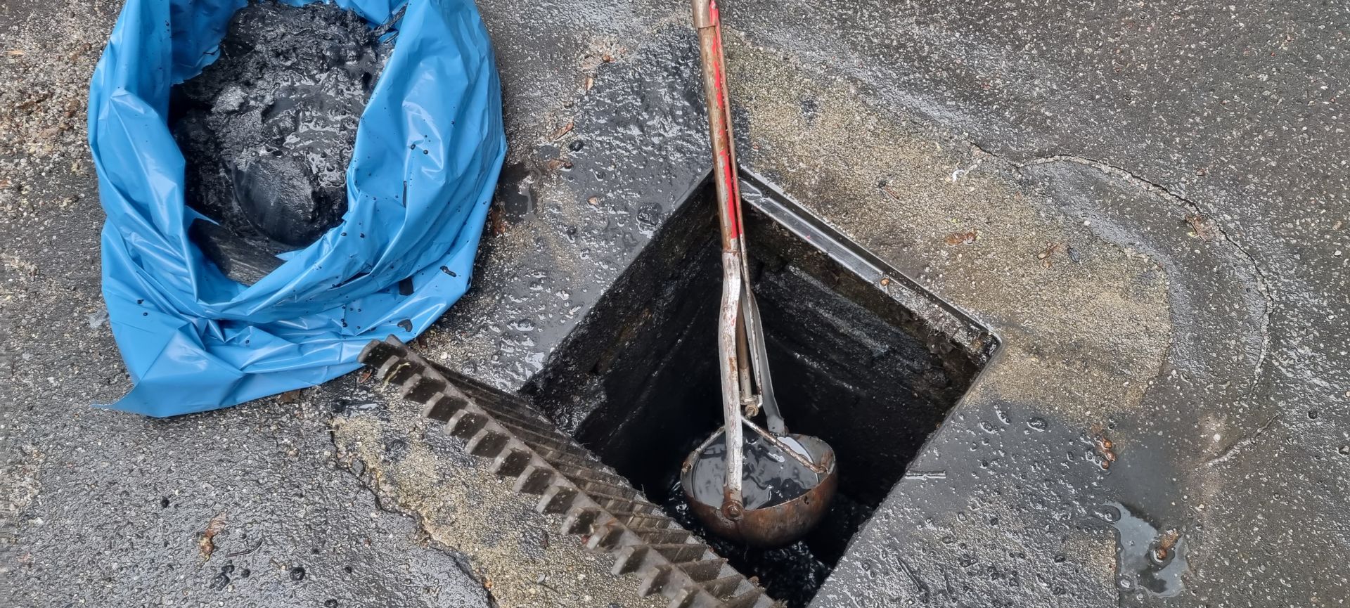 Laub auf einem Sickerschacht