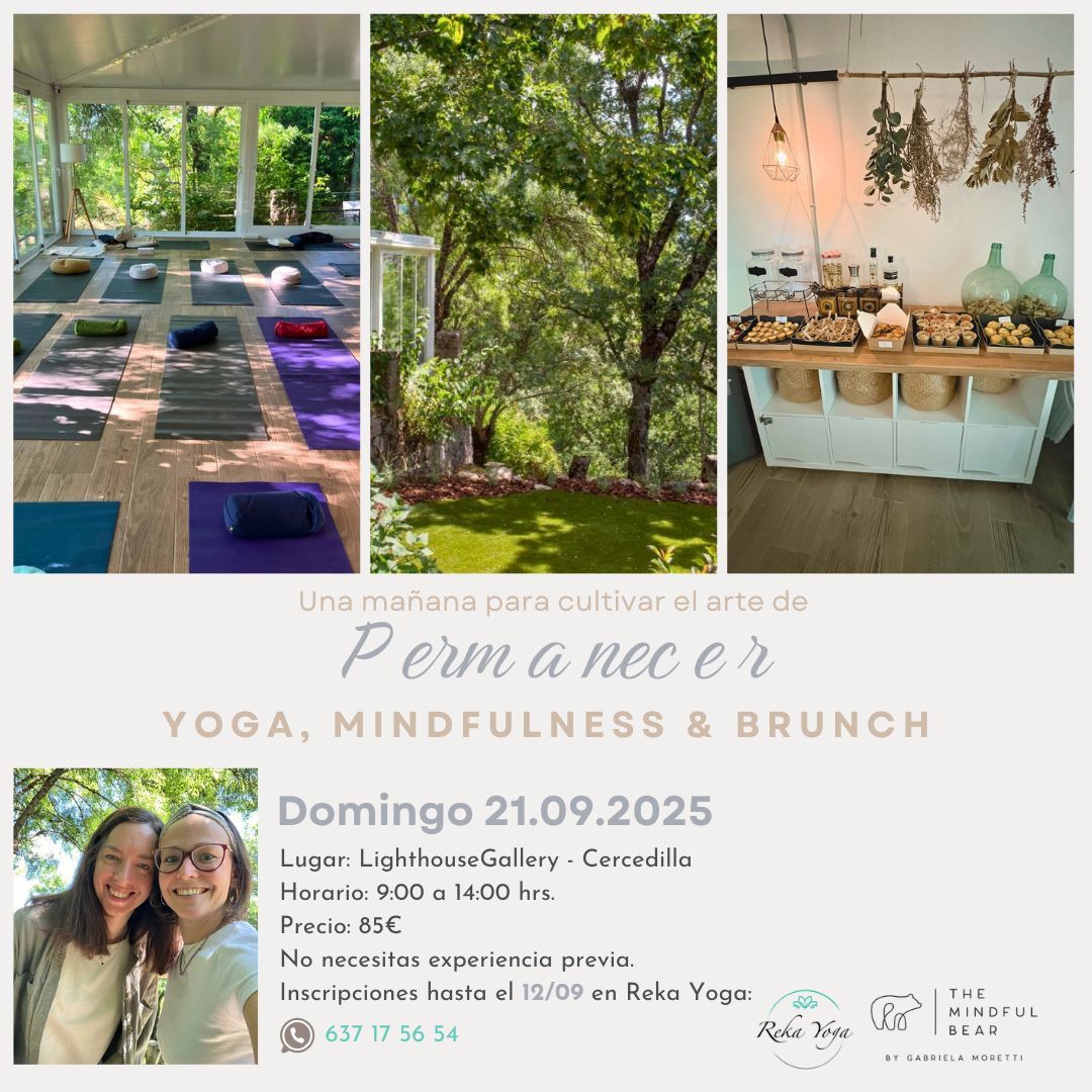 Mujer haciendo yoga junto a una ventana, reflejada en el cristal, rodeada de árboles y vegetación.