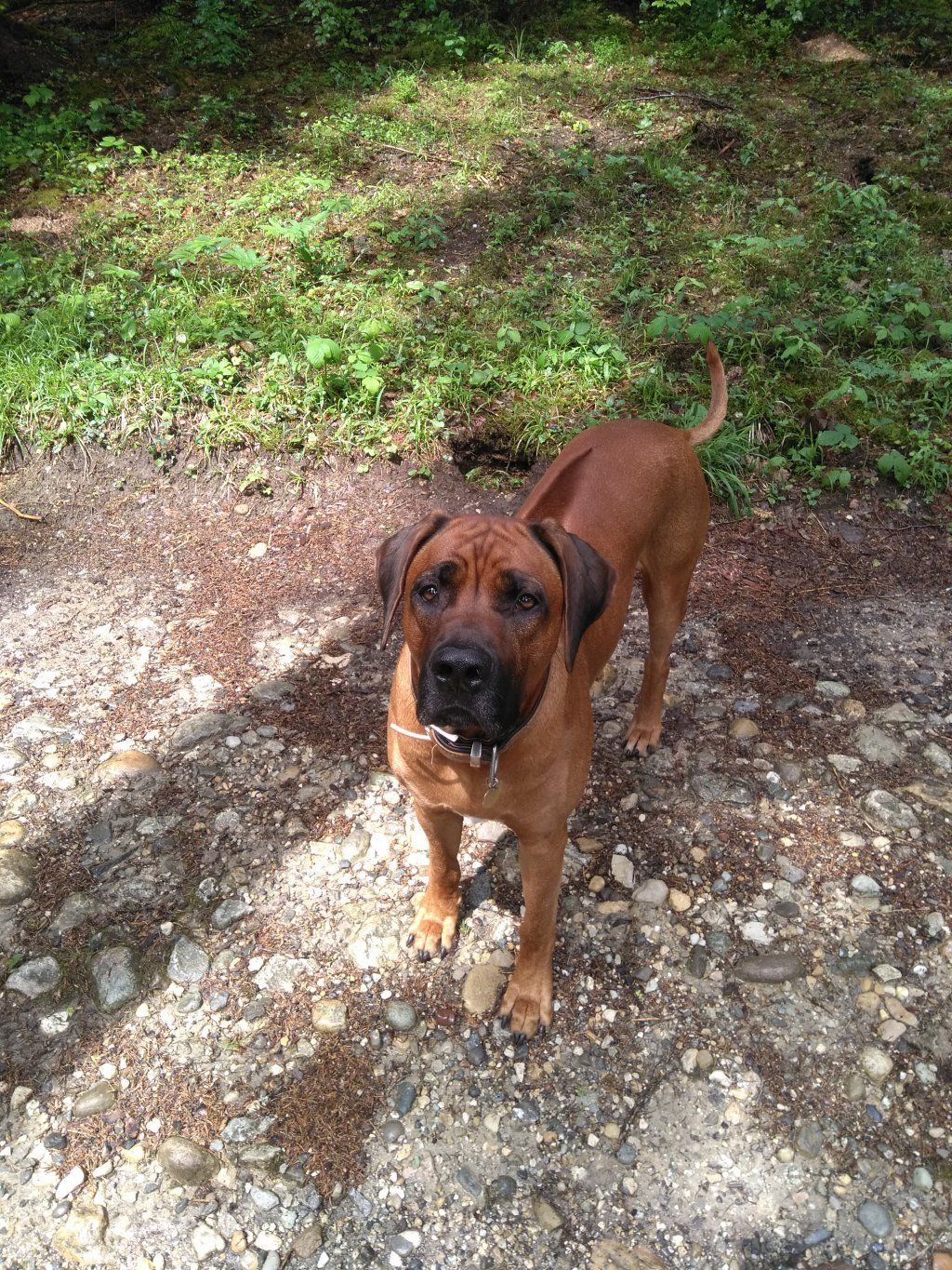 filou-lilou