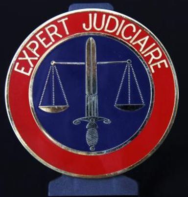 Expert judiciaire
