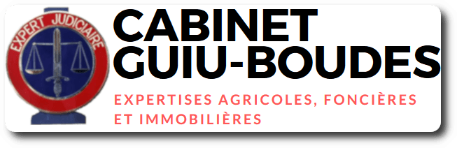Cabinet Guiu-Boudes