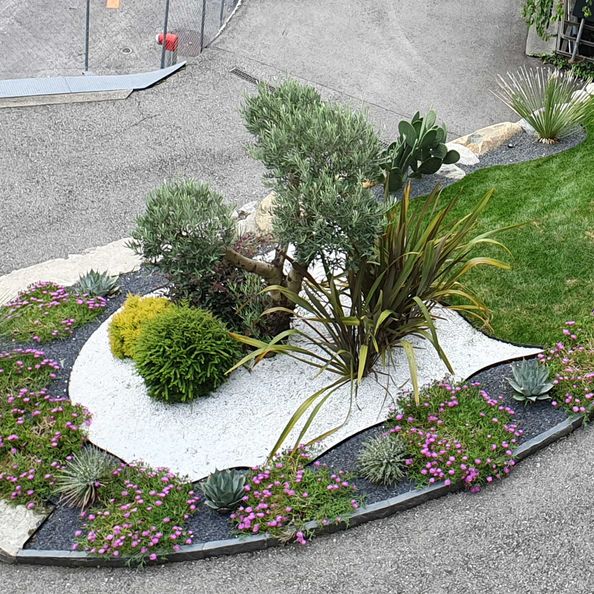 Aiuola - Montano Giardini