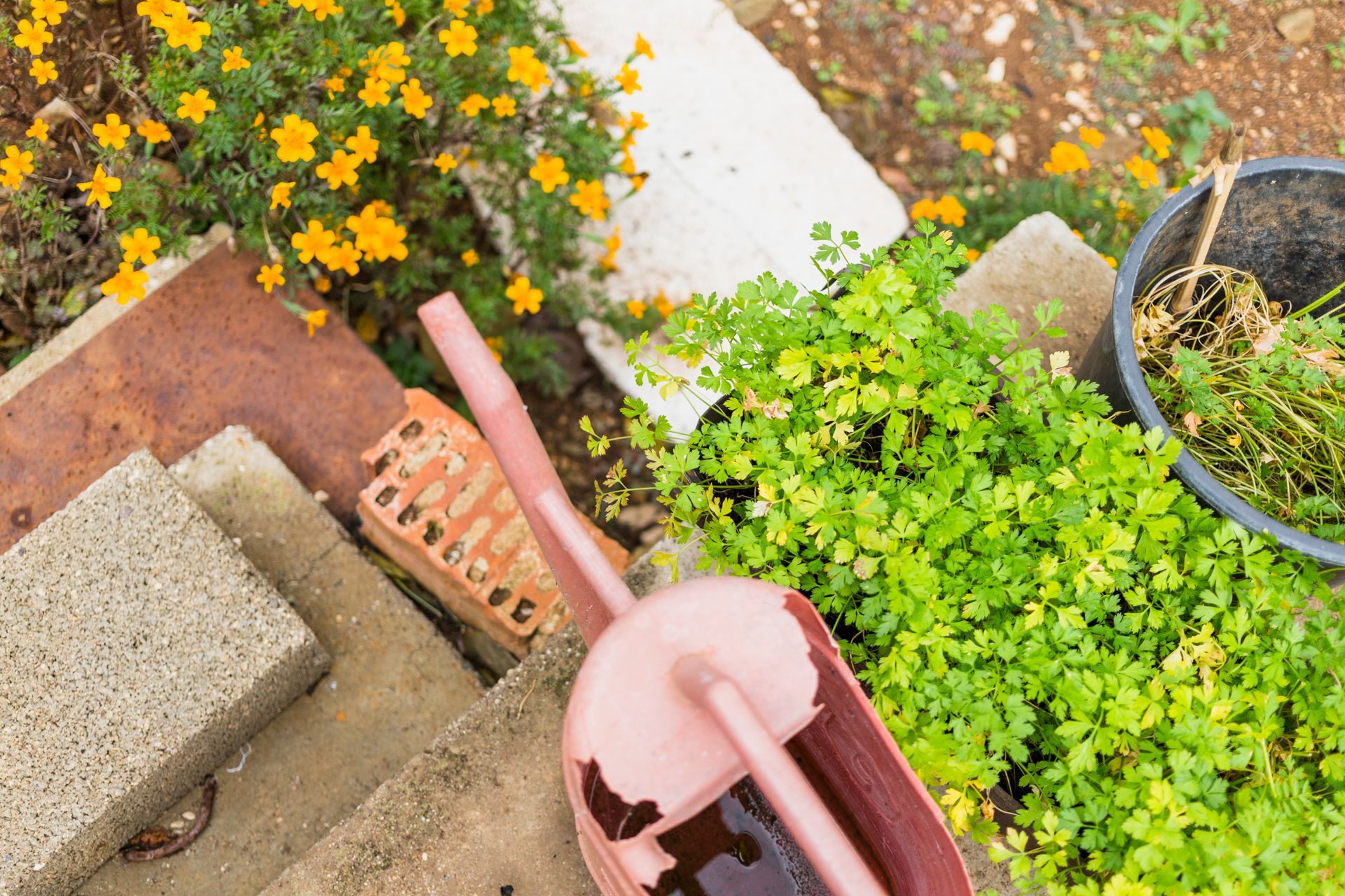 Reformas de jardines