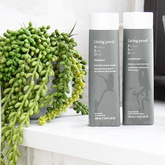 Dos botellas de champú y acondicionador están en un estante al lado de una planta.