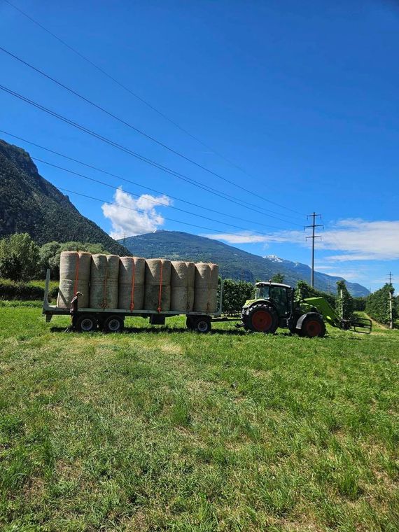 Un tracteur transporte des balles de foin à travers un champ herbeux, avec des montagnes et un ciel bleu en arrière-plan.