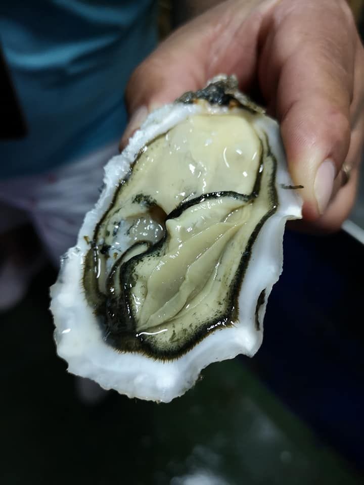 Huître - Novameditpesca Sàrl