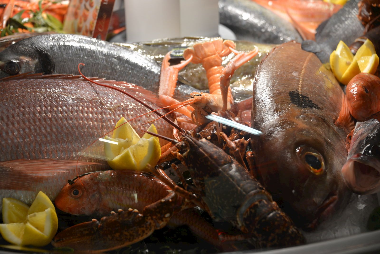 Poissons et langouste - Novameditpesca Sàrl