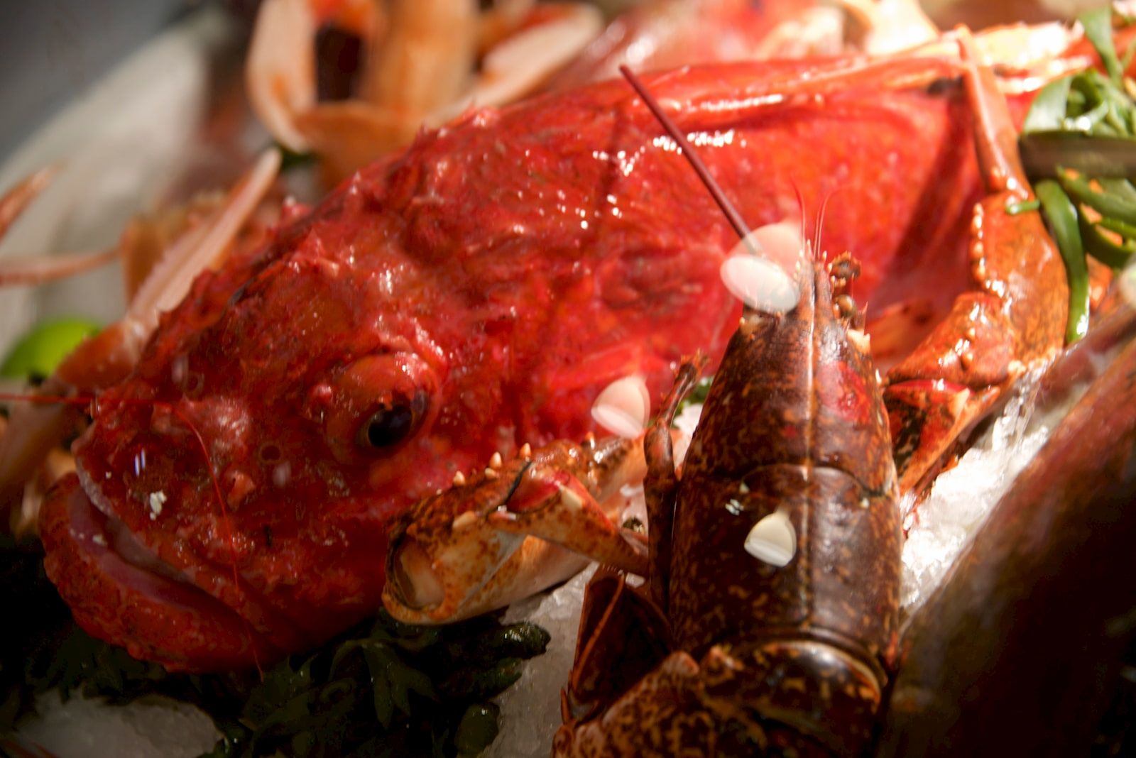 Poisson et langouste - Novameditpesca Sàrl