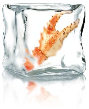 Poissons et fruits de mer surgelés - Novameditpesca Sàrl