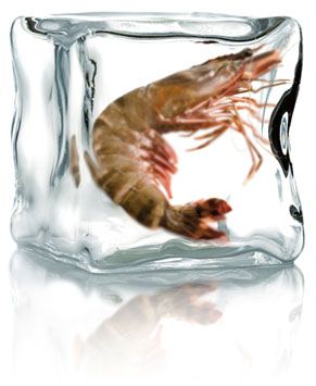 Poissons et fruits de mer surgelés - Novameditpesca Sàrl