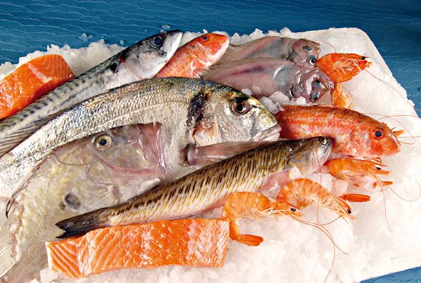 Jean Hubert Poisson - Novameditpesca Sàrl