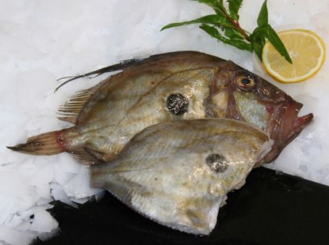 Saint Pierre - Novameditpesca Sàrl