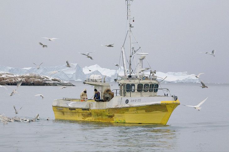 Un bateau de pêche au large du Groenland - Novameditpesca Sàrl
