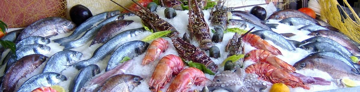 Brumisation poissonnerie - Novameditpesca Sàrl