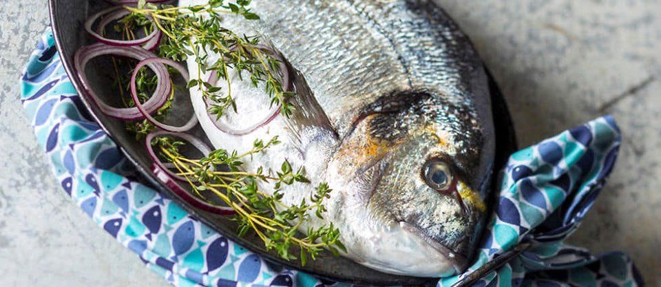 Dorade royale - Novameditpesca Sàrl