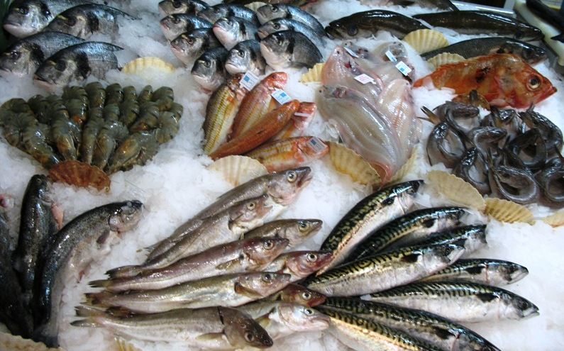Etal de poisson - Novameditpesca Sàrl