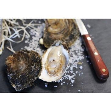 Huîtres - Novameditpesca Sàrl