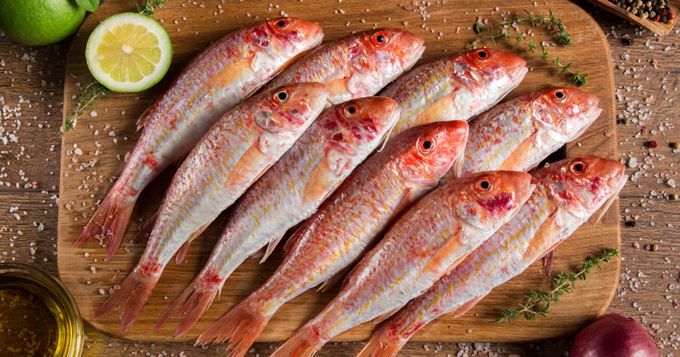 Rouget barbet - Novameditpesca Sàrl