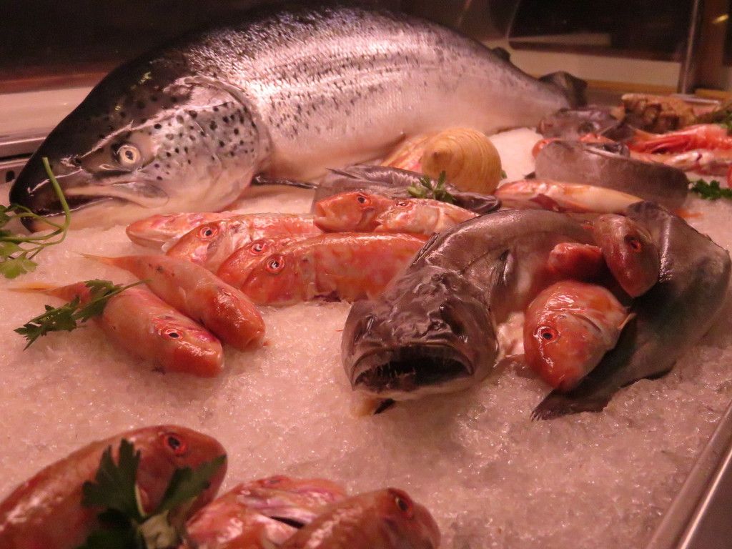 Poissons - Novameditpesca Sàrl