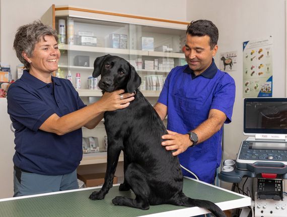 Ein Mann und eine Frau untersuchen einen schwarzen Hund auf einem Tisch.