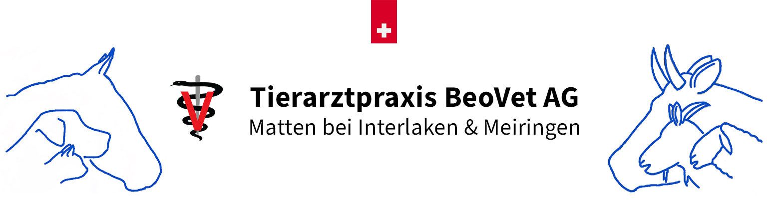 Das Logo der Tierarztpraxis Beovet AG zeigt ein Pferd und ein Reh