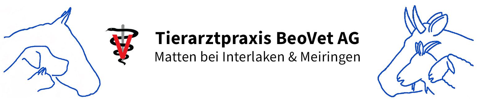 Das Logo der Tierarztpraxis Beovet AG zeigt ein Pferd und ein Reh