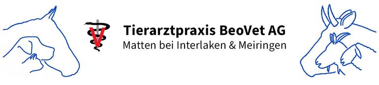 Das Logo der Tierarztpraxis Beovet AG zeigt ein Pferd und ein Reh