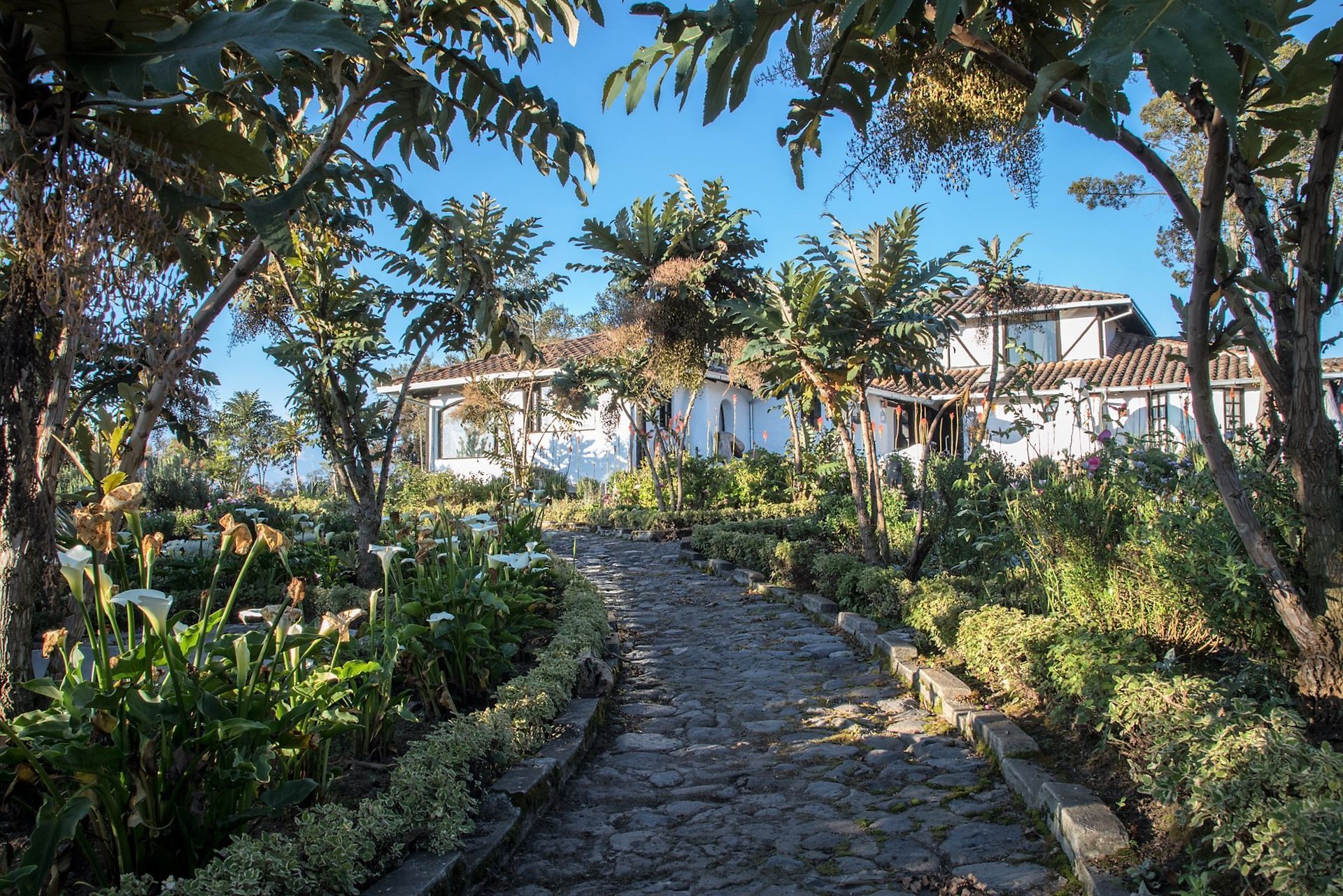 Sierra Alisos - Hotel de Campo