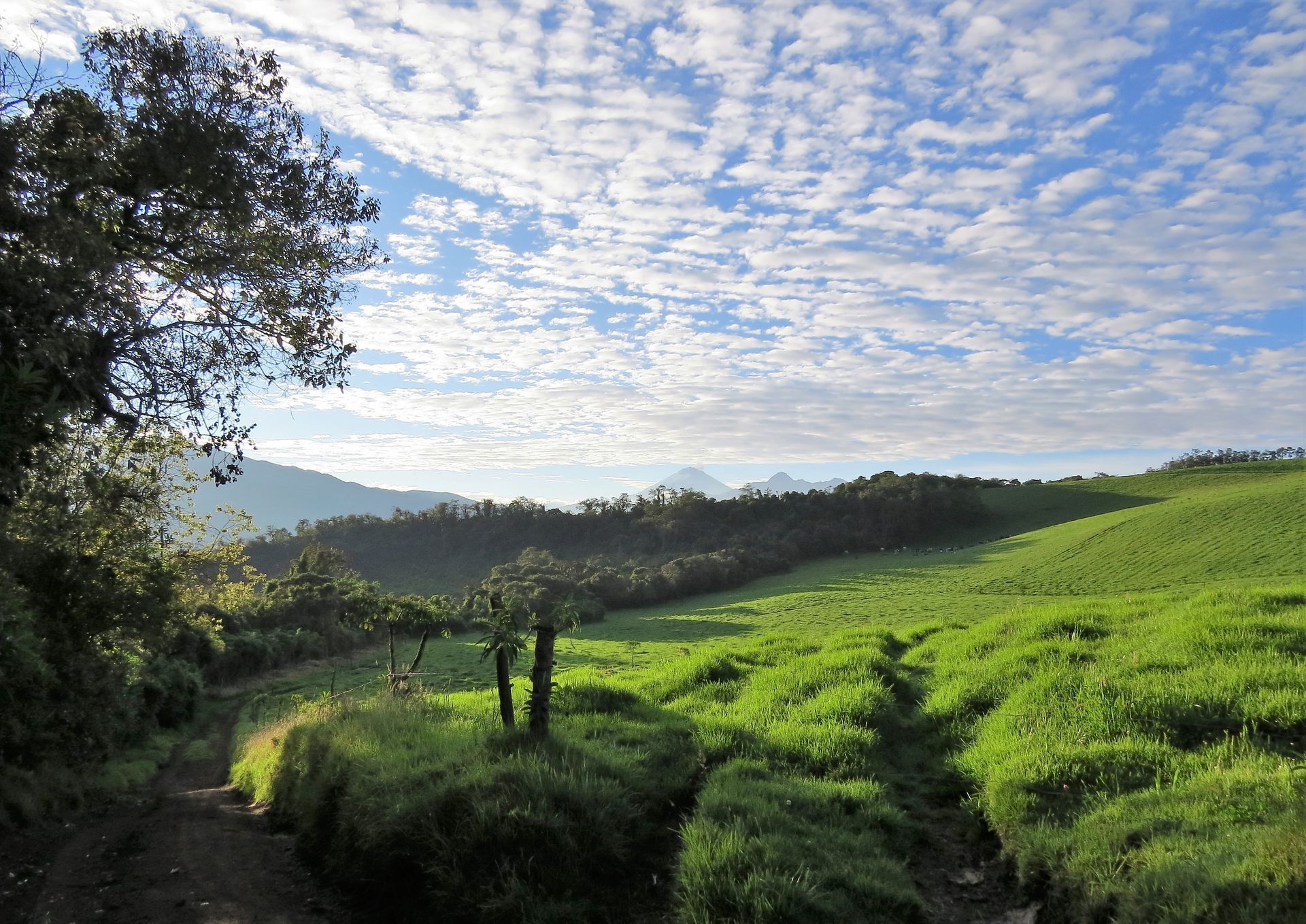 Sierra Alisos - Hotel de Campo