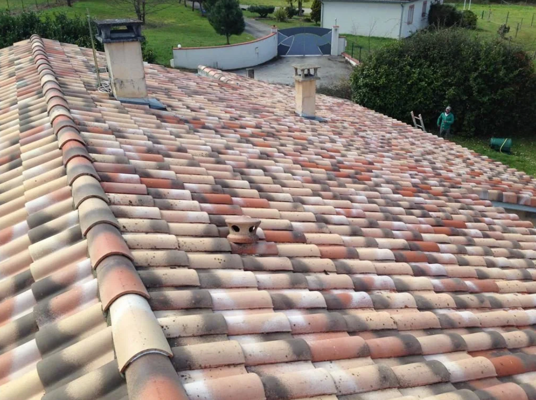 Tuiles de toiture colorées