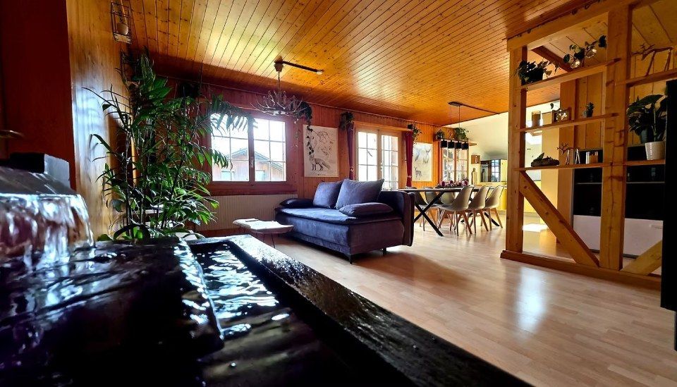 Gemütliches Interieur mit Holzdecke und -böden, blauem Sofa, Fenstern und Pflanzen.