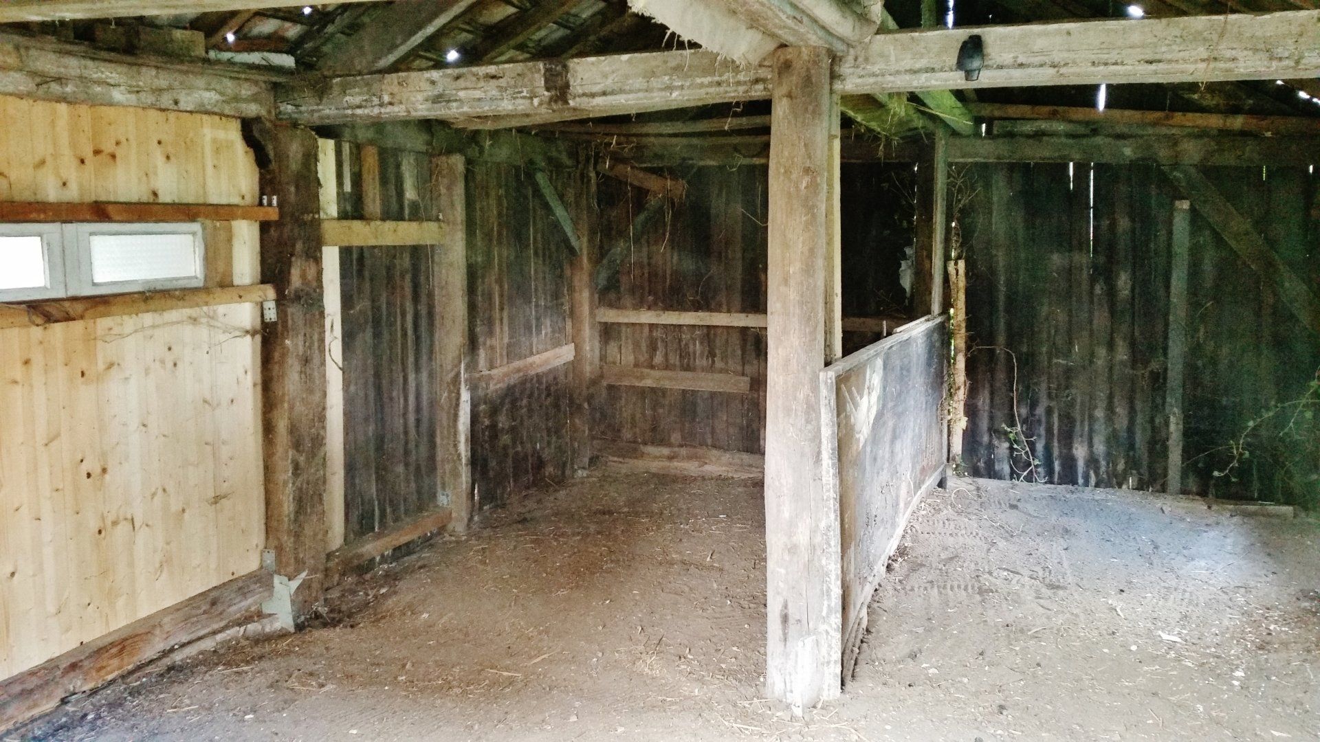 Intérieur d'un vieux hangar en bois avec sol en terre battue et murs partiellement recouverts de planches.