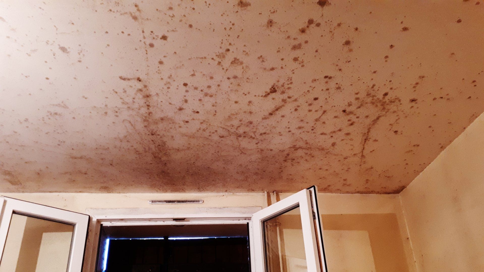 Plafond avec de nombreuses taches sombres et alignées.