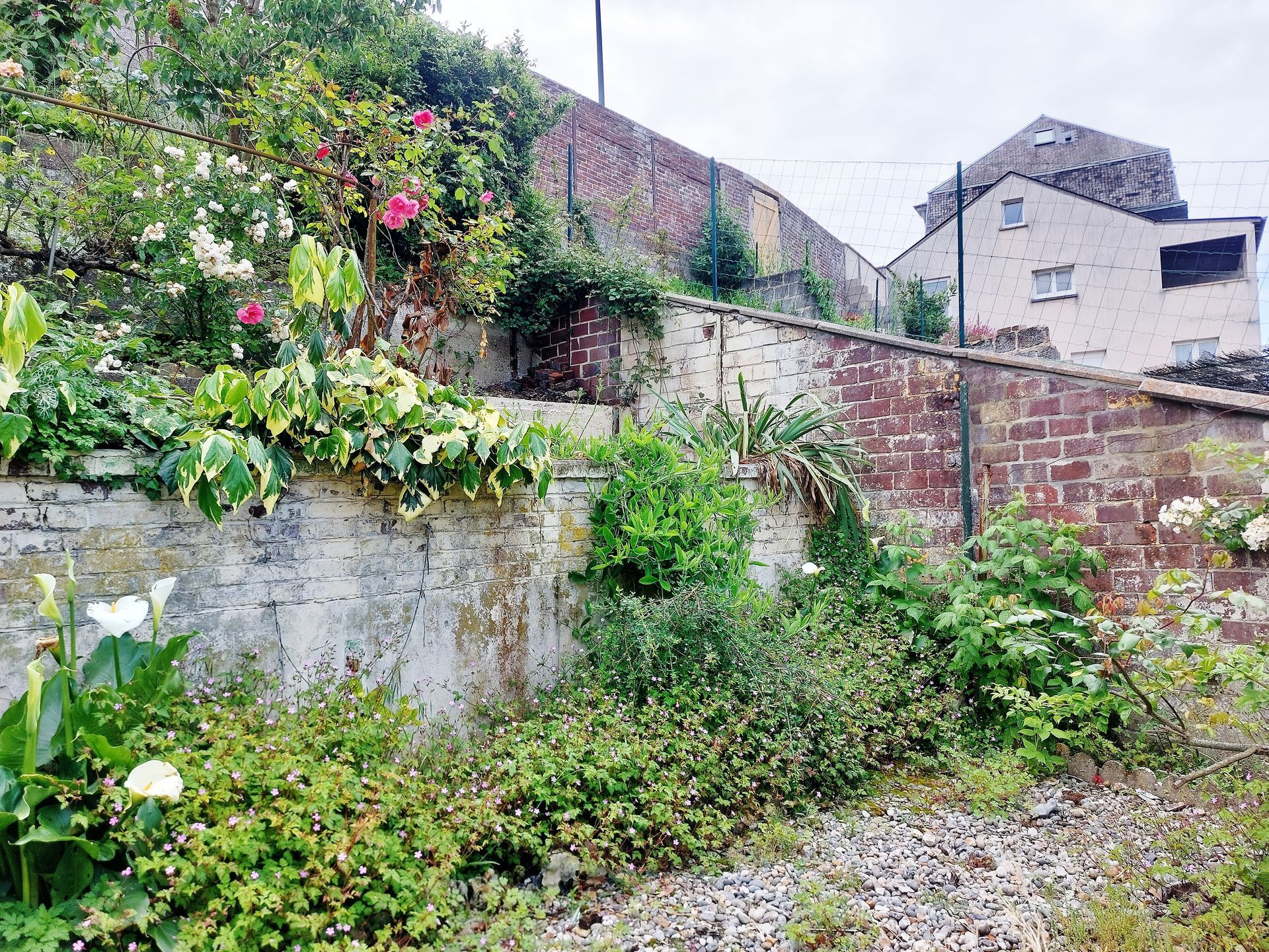 Le même jardin débarrassé des déchets et vieux matériaux.