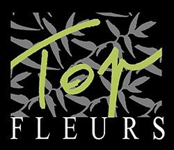 Logo Top Fleurs