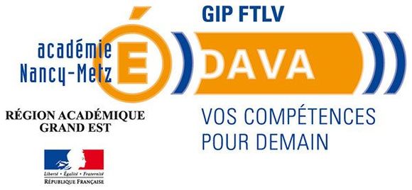 2018_DAVA_logos-600x277.jpg